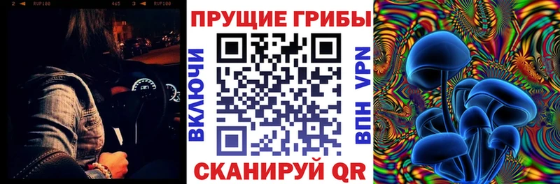 Псилоцибиновые грибы прущие грибы  МЕГА онион  Межгорье 